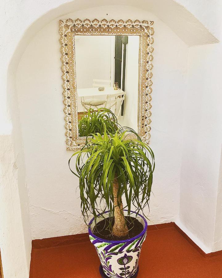 Numero 9 Medina-Sidonia Bagian luar foto